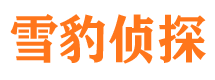 靖安市侦探公司